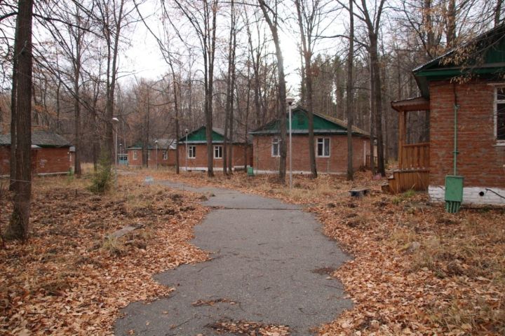 В Менделеевске создают онлайн-банк фотографий Детского лагеря «Юниор»