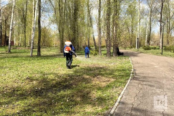 В Татарстане зафиксировали более 3 тысяч укусов клещей