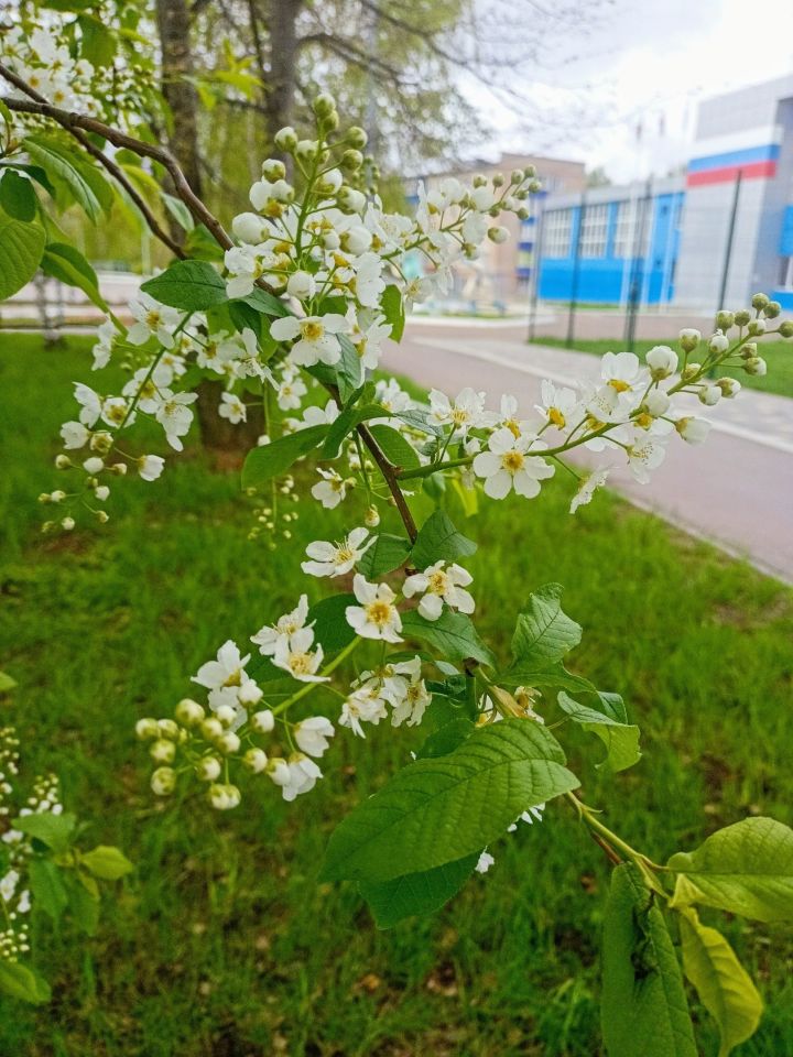 Вторые майские выходные продлятся четыре дня