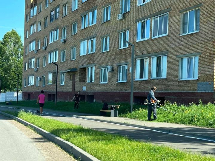 В Менделеевске во дворах домов проводится покос травы