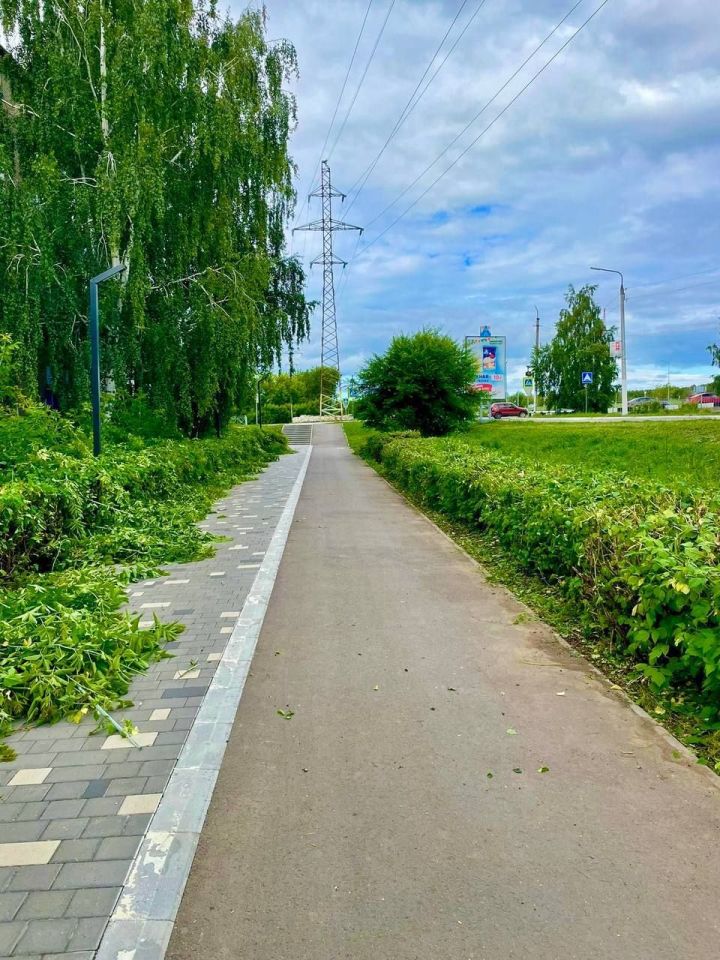 В Менделеевске продолжается уход за зелеными насаждениями