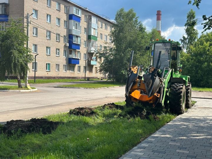 В Менделеевске будут высажены 500 сосен