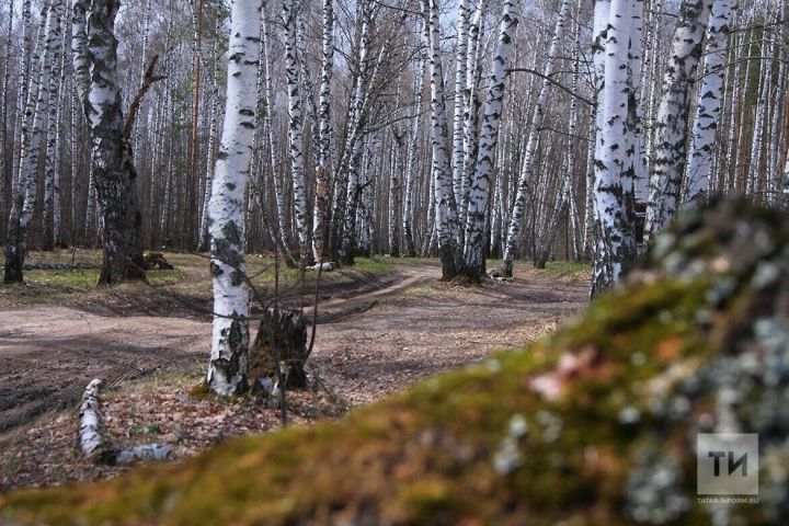 В России создали первую в мире вакцину от аллергии