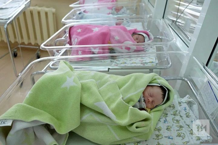 Отделение Социального фонда по Республике Татарстан 17 августа проведет семейный праздник «Рожай, Казань!»