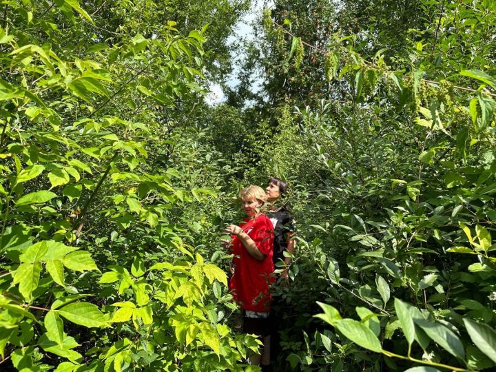 Первые Менделеевского района раскрывают тайны природы