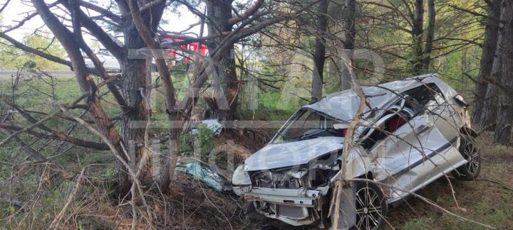 Водитель легковушки попал в больницу, вылетев с трассы в кювет в Менделеевском районе