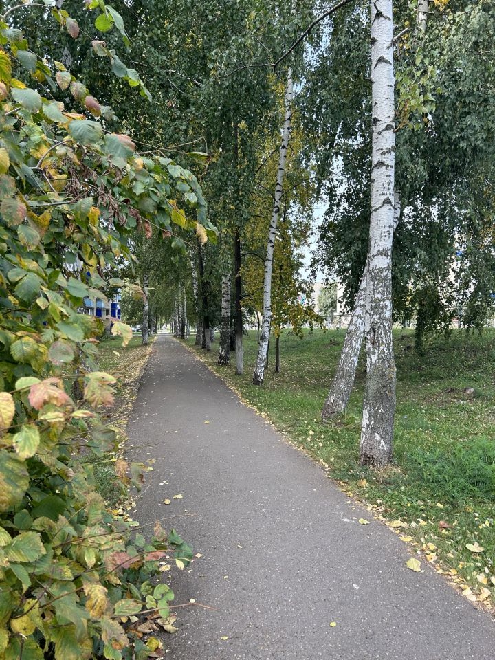 Температура в Менделеевске поднимется до +24 градусов.
