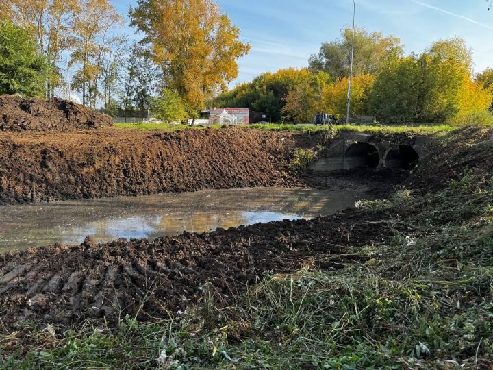 В парке «Ушковские острова» запущена работа по очистке притока реки Тойма