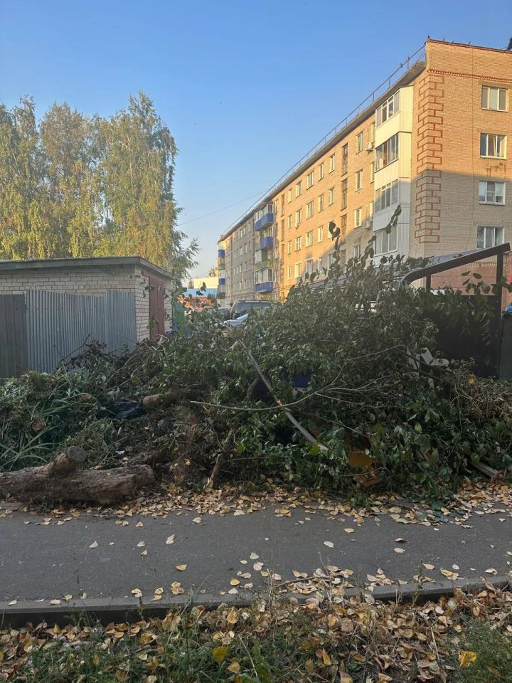 Менделеевцам напомнили, какой мусор нельзя складировать на контейнерных площадках