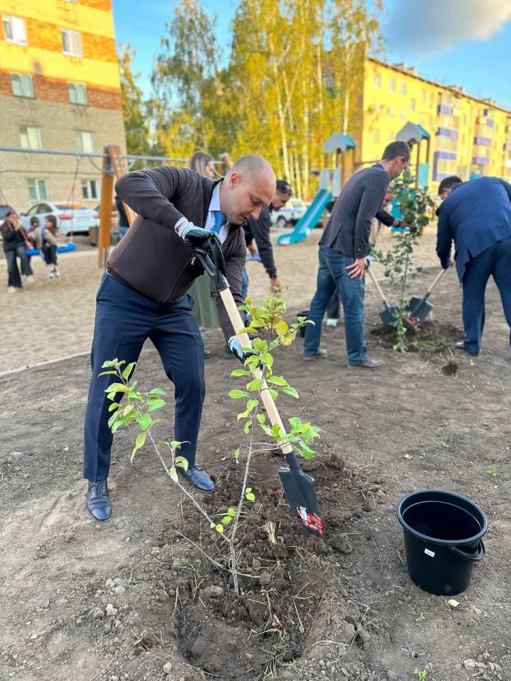 В Менделеевске по улице Бурмистрова высадили деревья