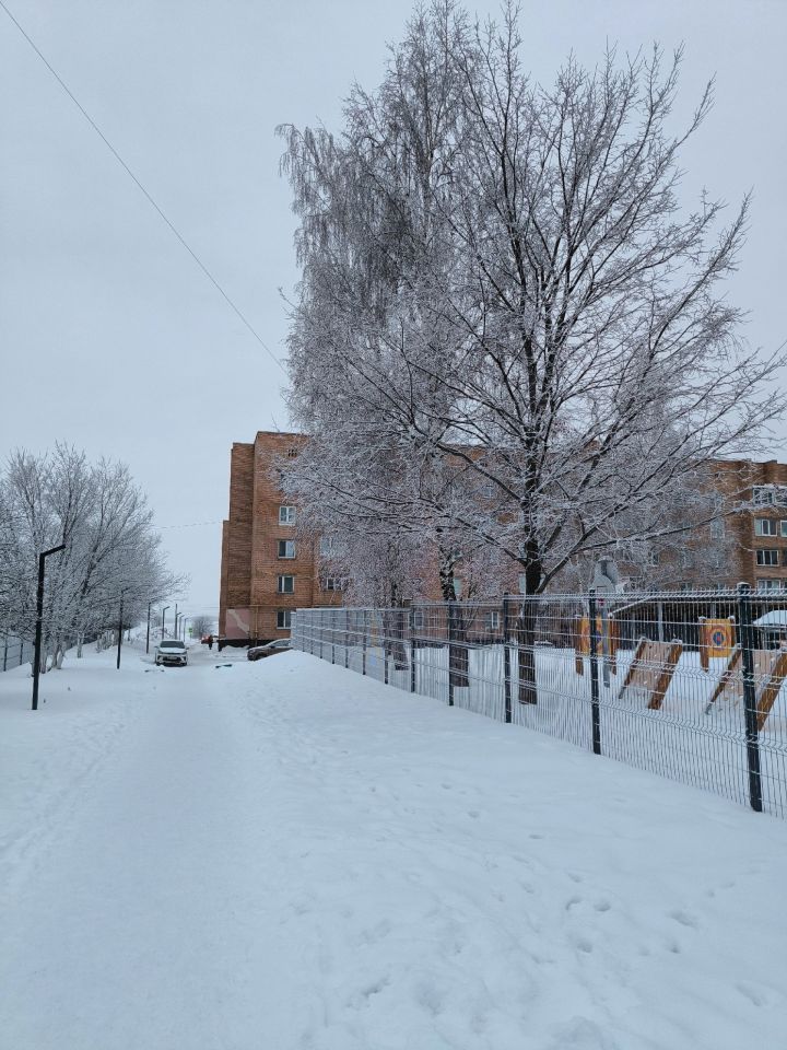 Небольшие снегопады и метели ожидаются в Менделеевске 14 января