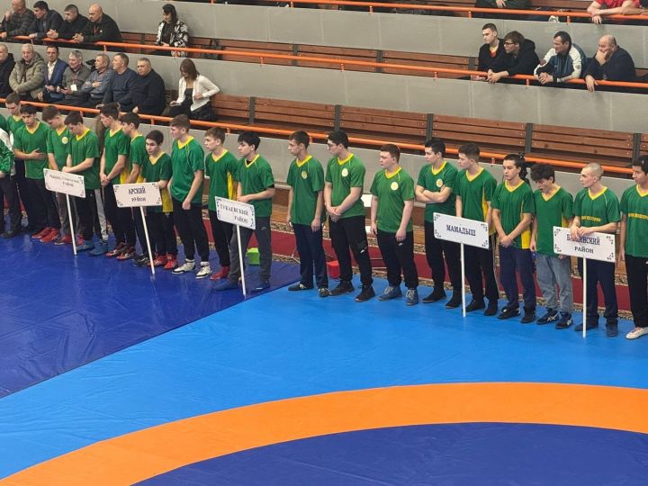 Воспитанники спортивной школы «Батыр» приняли участие в Первенстве Республики Татарстан по корэш среди юношей 17-18 лет