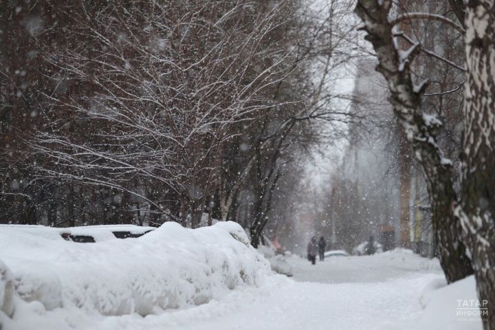 Народный календарь: 21 января — Емельяны-перезимники