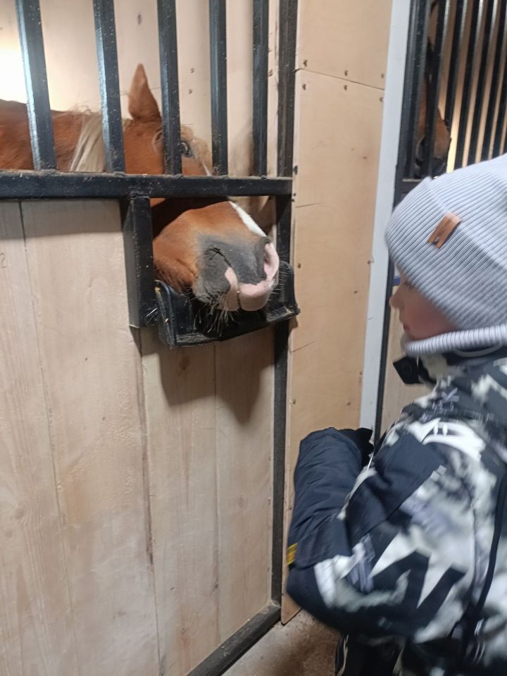 Новое досуговое место в Менделеевске набирает популярность