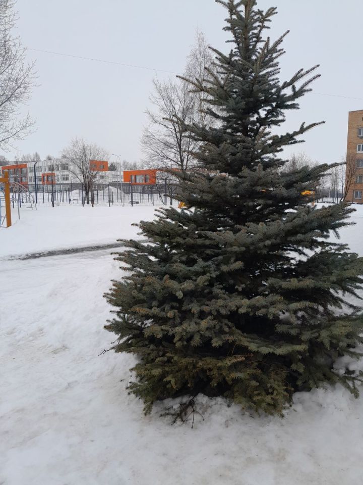 Прогноз погоды в Менделеевске на 30 января