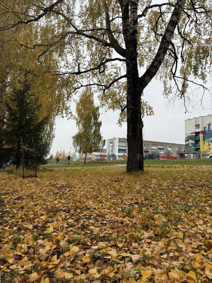 Народные приметы и обычаи 23 октября: Евлампий Зимоуказатель