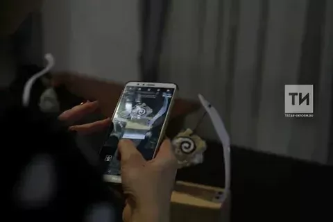 Доходов не дождался, без пяти миллионов остался
