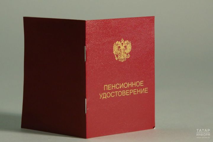 Татарстан Республикасында яшәүче 30 меңгә якын кеше 2025 ел башыннан пенсия билгеләүне сорап электрон гариза биргән