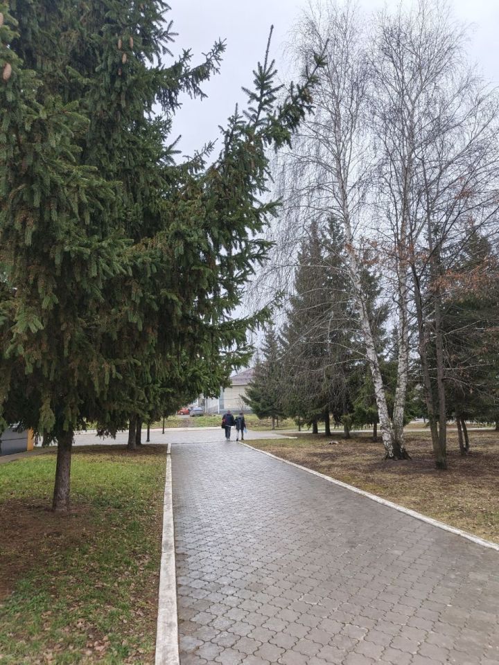 1 декабря в Менделеевске ожидаются небольшие осадки