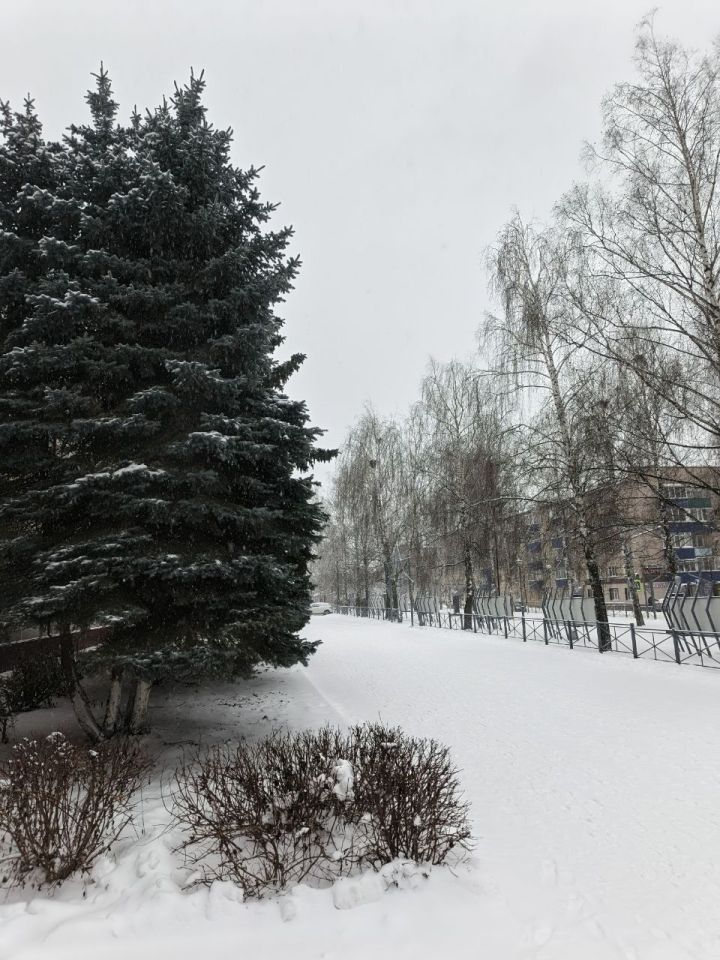 15 декабря прогнозируются метель и гололёд