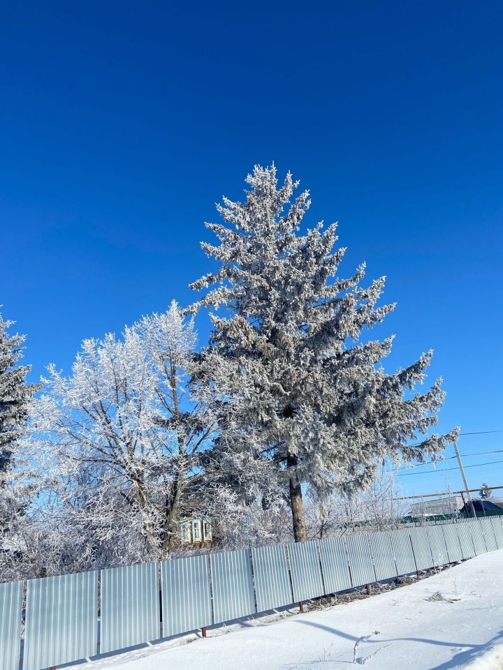 Прогноз погоды на 25 февраля в Менделеевске