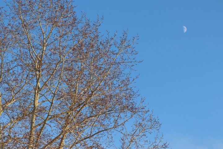 17 марта в Менделеевске ожидаются осадки в виде мокрого снега