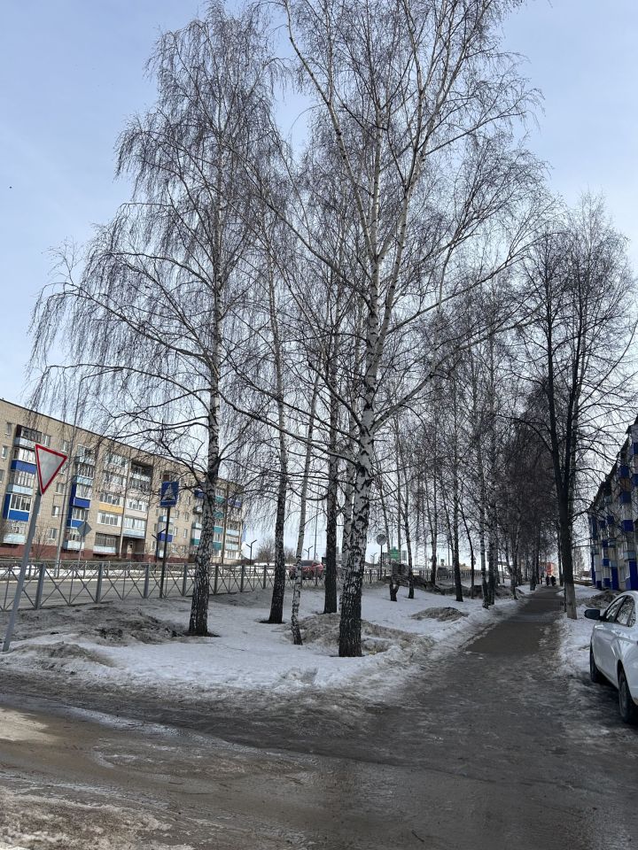 Жаворонки на пороге весны: народные обычаи и православные традиции 22 марта