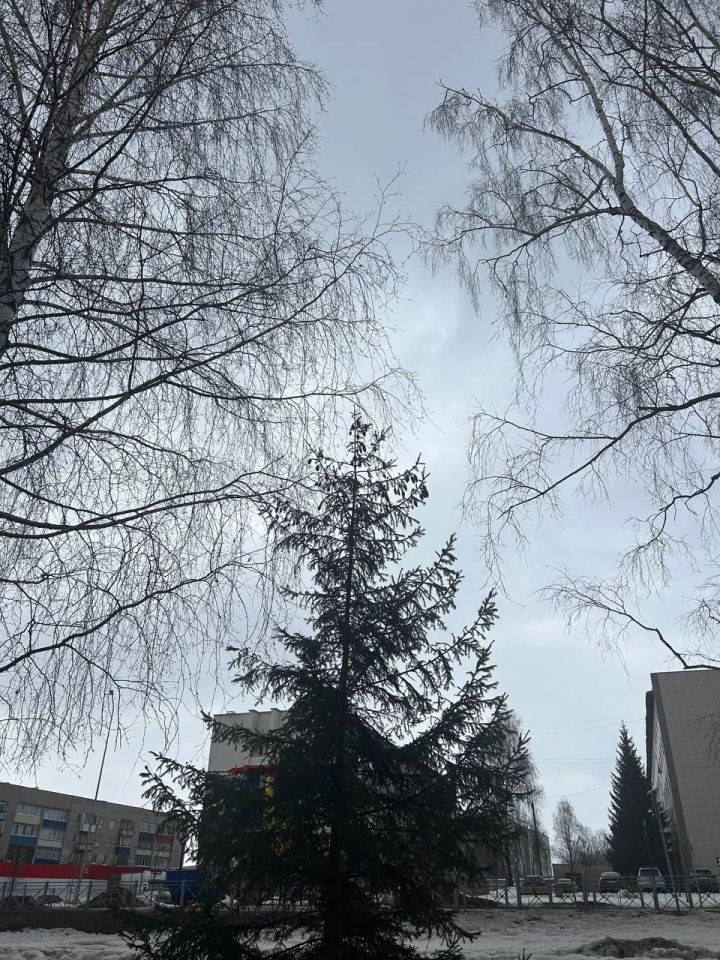 21 марта в Менделеевске ожидается облачная погода с прояснениями