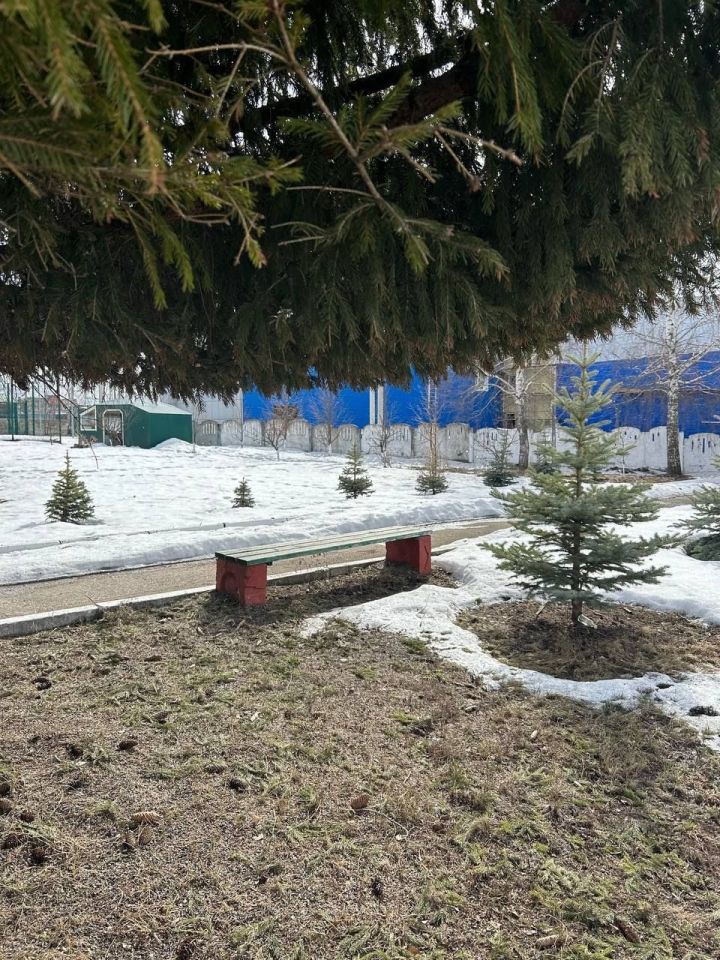 28 марта в Менделеевске потеплеет до +11°