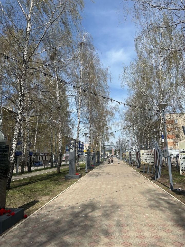 В пяти муниципальных районах республики состоятся внеочередные выборы в том числе в Менделеевском районе