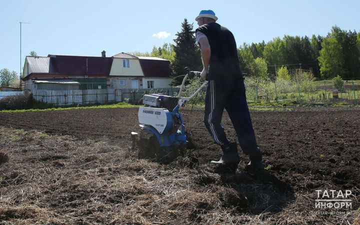 Готовим огород к встрече с растениями: простая инструкция по подготовке почвы