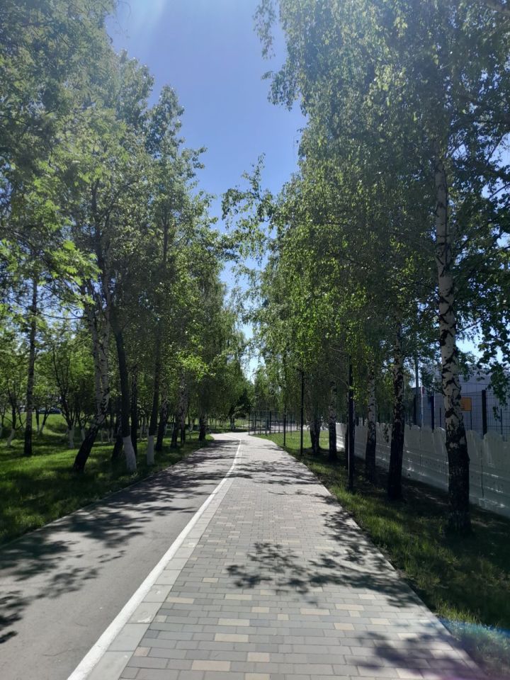 В ночь с 25 по 26 мая в Менделеевске ожидаются заморозки