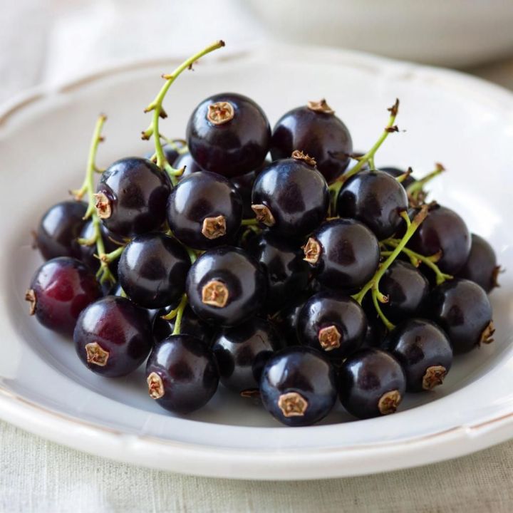 Летний букет вкуса: яркий рецепт компота из смородины