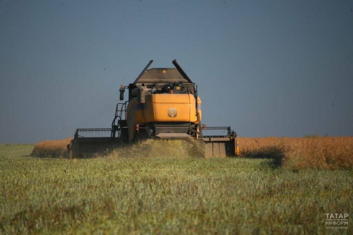 Татарстан лидирует в цифровизации АПК: впечатляющие результаты и перспективы развития