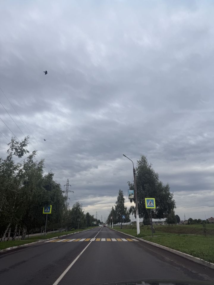 Синоптики прогнозируют возвращение теплой погоды на выходные и в День знаний
