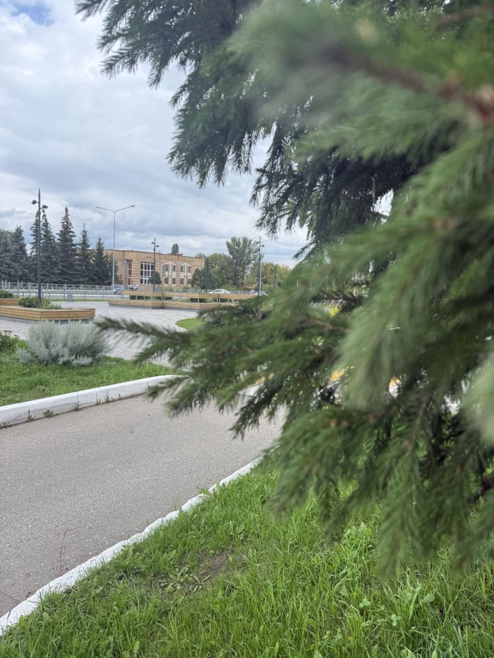 26 августа в Менделеевске будет солнечно