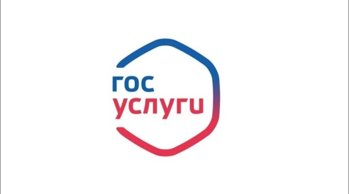 Удобно и быстро: жители Татарстана могут обращаться к мировым судьям через Госуслуги