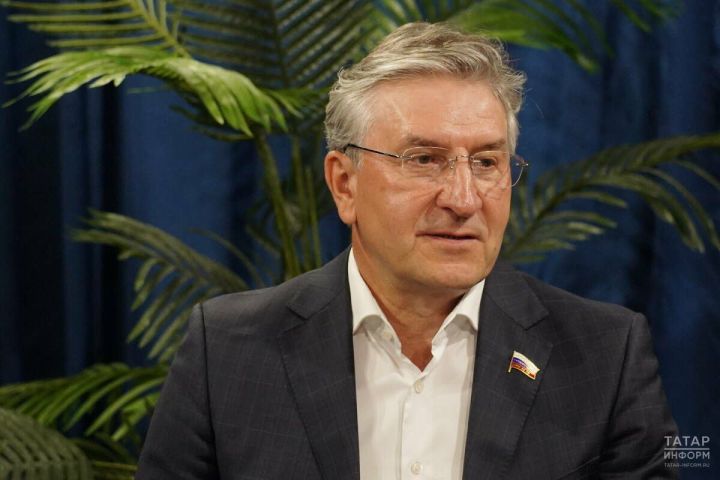 Айрат Фаррахов: депутаты от Татарстана встретились с представителями Правительства РФ