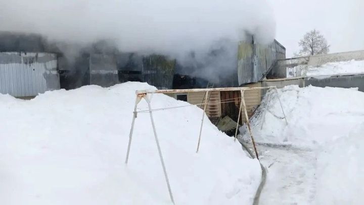 В Менделеевске пожарные ликвидировали возгорание сарая