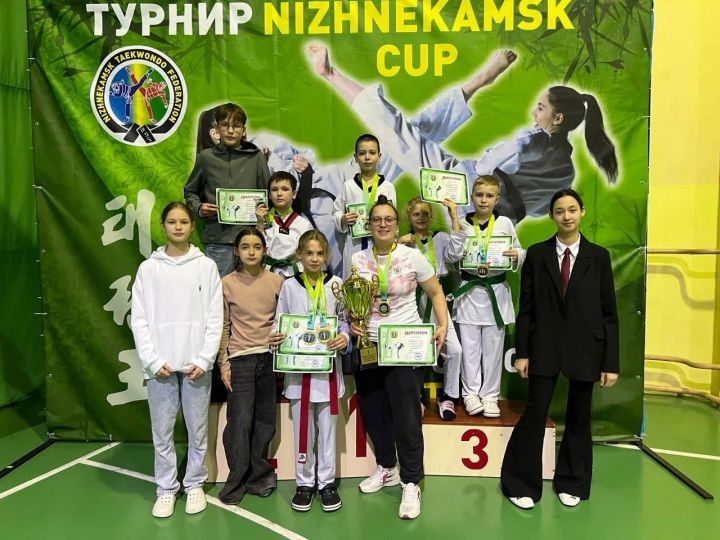 Менделеевские тхэквондисты завоевали медали на турнире в Нижнекамске