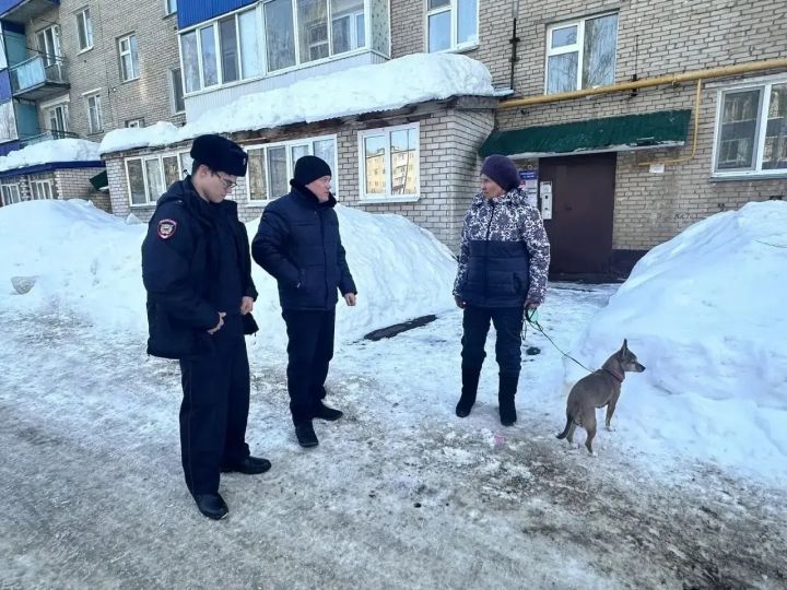 В Менделеевске проведён рейд по контролю за безнадзорными животными и за соблюдением правил содержания домашних животных