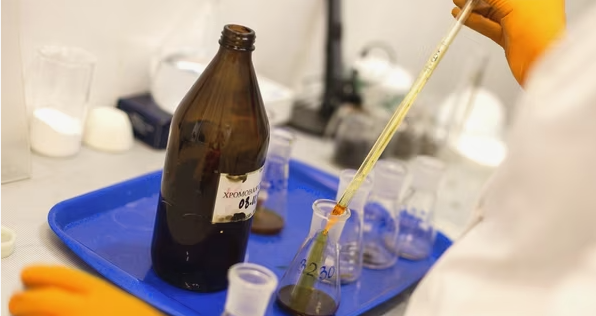 Более 2,2 млн тонн пшеницы обследуют в Татарстане в рамках госмониторинга зерна