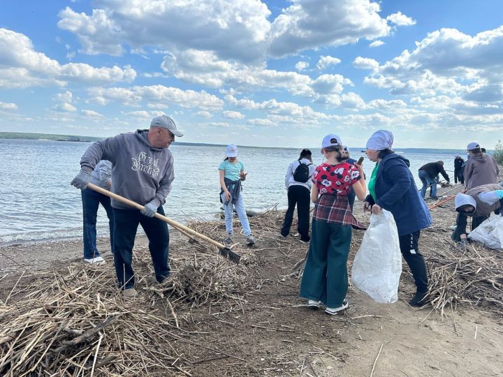 В Менделеевске очистят берега рек Камы и Тоймы в рамках акции «Вода России»
