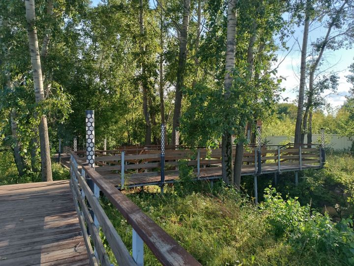 Огонь не прощает ошибок: в лесах Менделеевского района вводится режим жёстких запретов