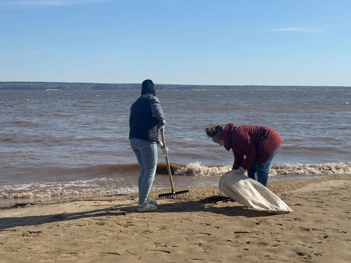 Активисты Менделеевска очистили берега рек в рамках акции «Вода России»