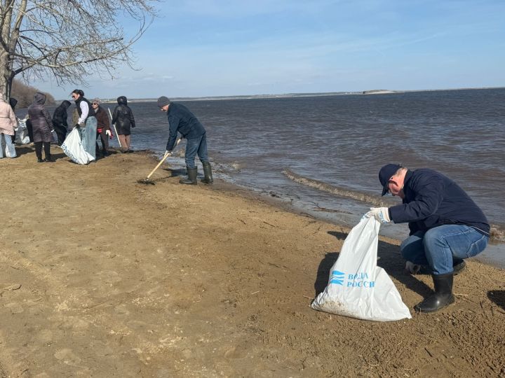 Активисты Менделеевска очистили берега рек в рамках акции «Вода России»