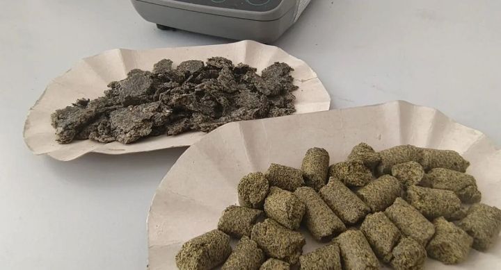 Более 5 тыс. тонн подсолнечного шрота из Татарстана отправили в Азербайджан и Туркменистан
