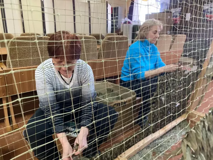 Вместе плетём Победу: в Ижёвском сельском поселении продолжают помогать #СВОим