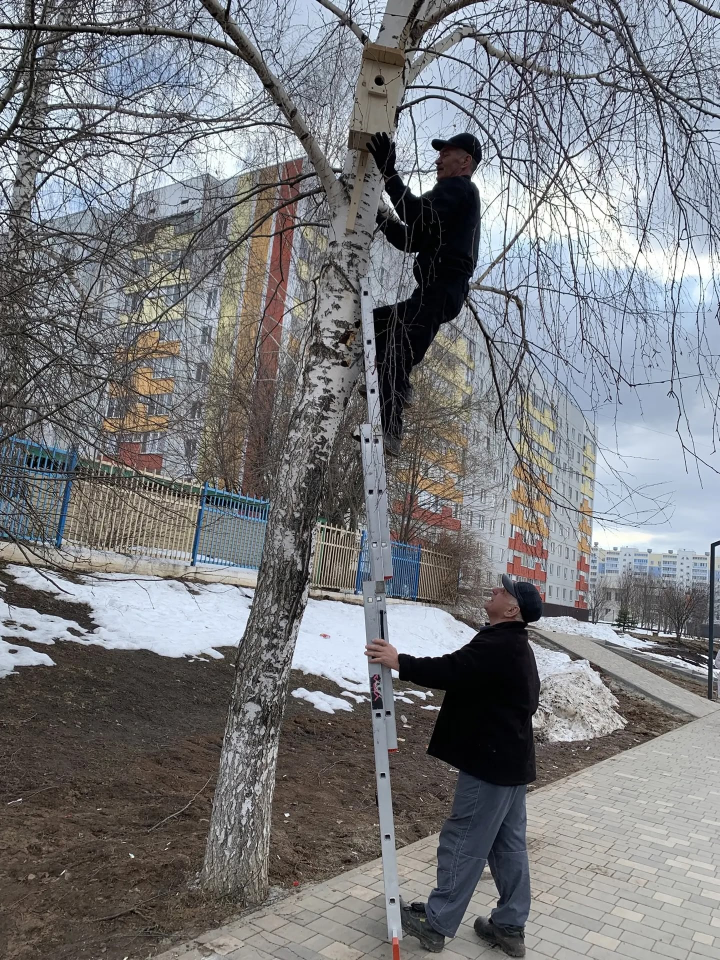 Помощь пернатым: оздоровительный комплекс «Нептун» Менделеевска сделал уютный дом для птиц