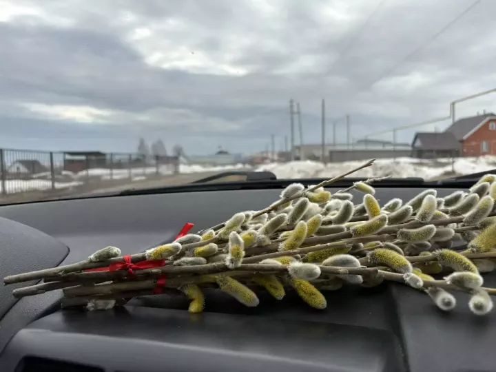 Тишина, добро и Вербное воскресенье: как в Сетяково поздравляли земляков